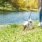 a dog on a leash on a leash by a river